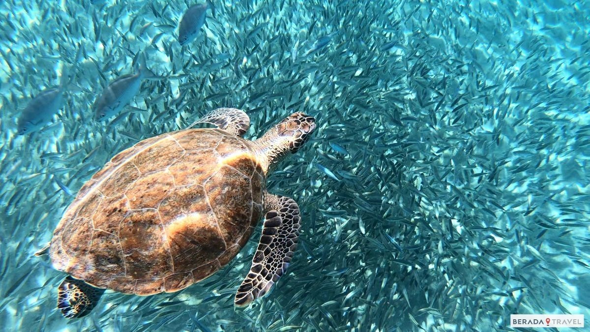 Playa Piskado, Curaçao