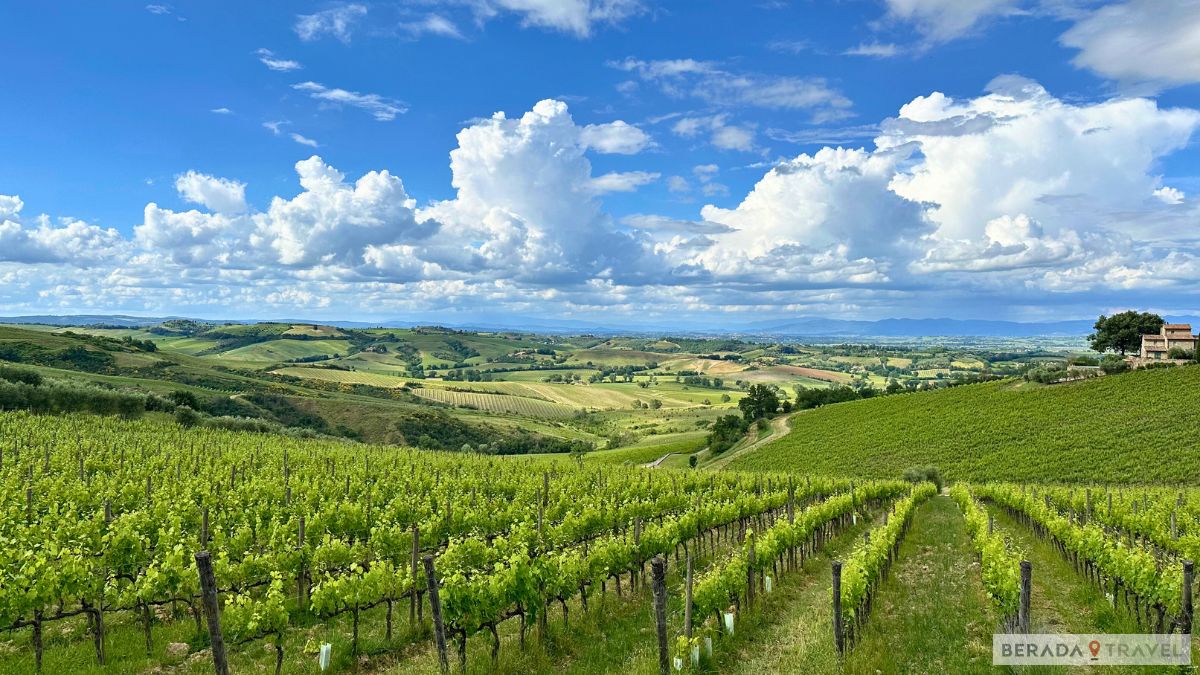 Cantine della Toscana