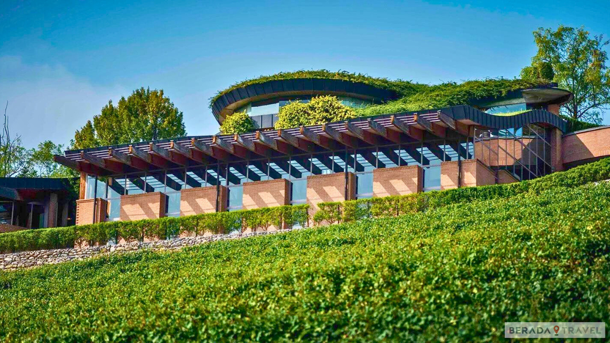 Renato Ratti Winery