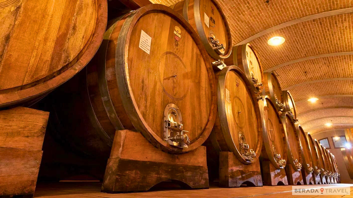 Massolino Winery